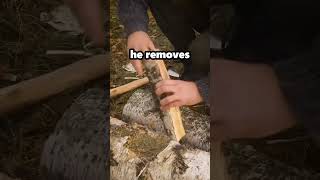 How to Make a Candle in the Wild!