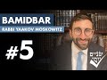 Shnayim Yomi - Bamidbar - Chamishi - #5