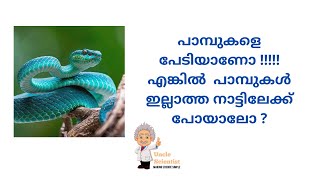 ഈ രാജ്യത്ത്  പാമ്പിനെ പേടിക്കാതെ  ജീവിക്കാം...