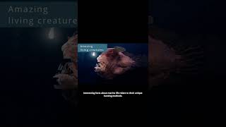 Unveiling the Sea Devil: Mysteries of the Anglerfish