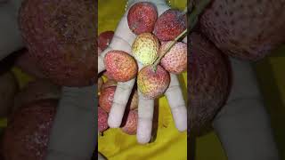 লিচু কিনে বাকিটা ইতিহাস। #viral #viralvideos #Lichi lover #fruit #viral post