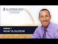 What is Gluten?  Gluten Simply Explained - Glutenology Masterclass