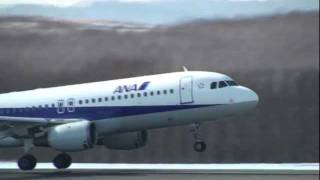 たんちょう釧路空港 All Nippon Airways Airbus A320-200 JA8300 離陸 2011.2.28