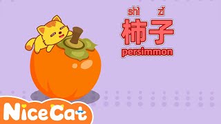 Learning Songs-柿子|律动儿歌|Chinese Songs|Fun Chinese By NiceCat