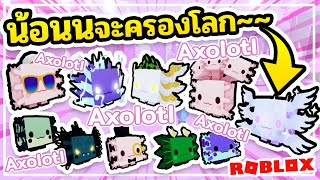 Pet Simulator X #27 🦭 น้อนนจะยึดครองโลก! ~ Axolotl Ocean ~