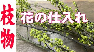 【春の枝物】 2022年1月10日 仕入れた花の紹介。     「お花屋」 と言うか 「仲卸」です。  花を必要とするすべての方どうぞお越しください。