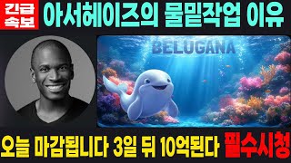 [벨루가나 밈코인] BELUGANA - 긴급속보 아서헤이즈의 물밑작업 이유 오늘 마감됩니다 3일 뒤 10억된다 필수시청 코미녀