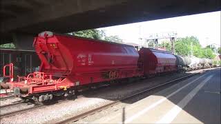 Güterzüge in Hamburg - Harburg  September 2021    Sonderzug mit Trans Europa Express Wagen (TEE)