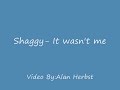 shaggy it wasn t me lyrics