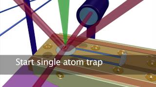 Magneto-Optical Trap for Single Atom Experiments