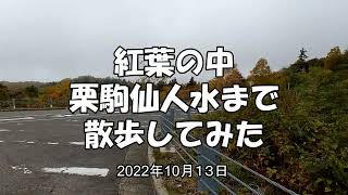 紅葉の中、栗駒仙人水まで散歩してみた（2022年10月14日）