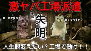 【猫ミーム】工場派遣の日常【失明編】