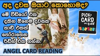 අද දවසට ආශිර්වාදාත්මක එන්ජල් රිඩින් එක  ගන්න.Pic a crad-Dy 1 The Amazing Angels Cards Guide You