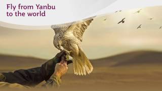 Qatar Airways - Fly from Yanbu to the World