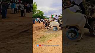 రఘునాథ్ రెడ్డి #bullsloverprasanth #bulllovers #bailgada #bullsrace #horse #viralvideo #trending