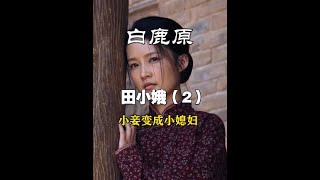 白鹿原：田小娥从小妾变成小媳妇 【书虫赵岩】