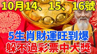 太准了！10月14、15、16號！這5個生肖躲不過彩票中大獎！尤其第二名，一定要買！偏財運旺到爆！【慧安說禪】#生肖 #財運 #運勢 #屬相 #風水 #命理