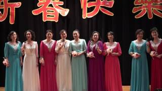 华盛顿东北同乡会2017年会及春节晚会 - 女声小合唱