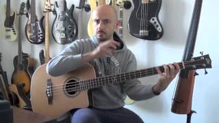 LEZIONI DI BASSO: Il Basso Acustico (BASSO EKO MIA).