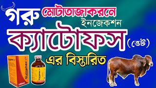 গরু মোটাতাজা করার উপায় | গরু ষাড় বকনা ছাগল খাসি মোটাতাজা করার ইনজেকশন | catophos vet ক্যাটোফস দাম