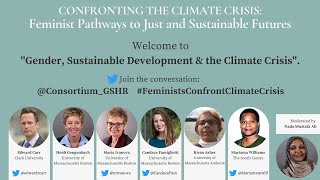 Gender, Sustainable Development and the Climate Crisis