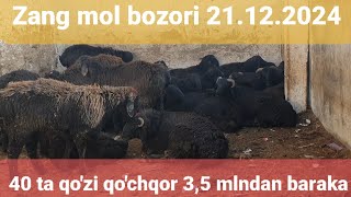 Muzrabot Tumani Zang Mol Bozori Qo'y va qo'chqor narxlari 21.12.2024