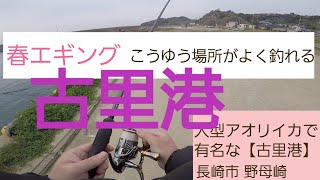 【春エギング】大型アオリイカは、こんな場所がよく釣れる！古里港 ！ 長崎市 高浜町 、野母崎