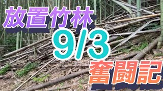 放置竹林奮闘記【サラリーマンが竹を切る日々】2023/09/03