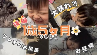 【1歳5ヶ月　ワンオペ】イヤイヤ期？1歳娘の1日密着👀