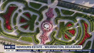 Planning your spring road trip: Hidden gems in Delaware