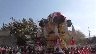 新居浜太鼓祭り2023　金栄太鼓台