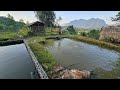 Orphan Boy: Catching Fish and Fruits to Sell at the Market.