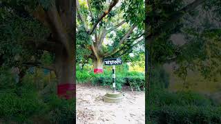 Beautiful Habiganj #viralvideo #nature #travel #habiganj #bangladesh #beautiful #foryou #shortvideo