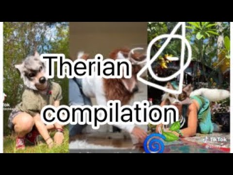 40 Minutes Ultimate Therian Compilation Youtube