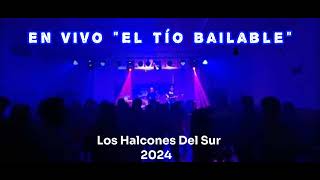 LOS HALCONES DEL SUR EN VIVO \