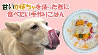 【簡単手作り犬ご飯】甘いかぼちゃを使った秋に食べたい手作りごはん【帝塚山ハウンドカム】