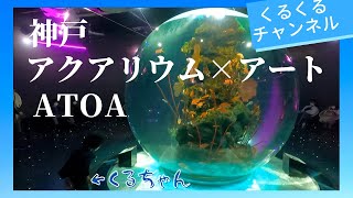 神戸に新水族館！atoa！アクアリウムとアートが融合した新感覚の都市型水族館（くるくるチャンネル）