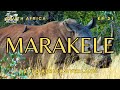 Marakele National Park, Rhinos Galore - Solo Africa Overland, Ep. 21