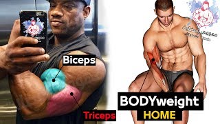 تمارين بوزن الجسم البايسبس و ترايسبس بدون معدات - bodyweight Exercises biceps and triceps