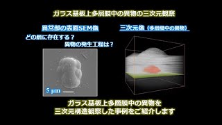 多層膜中異物のFIB-SEM観察