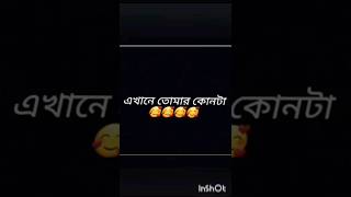 এখানে তোমার কোনটা 🥰🥰🥰🥰