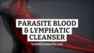 PARASITE BLOOD \u0026 LYMPHATIC CLEANSER from Nelcia's Natural Herbs