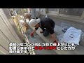 【diy】簡単で雑草対策にもなるコンクリートでdiy