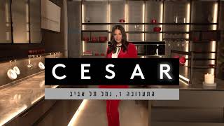 מטבחי CESAR איטליה עכשיו בישראל.