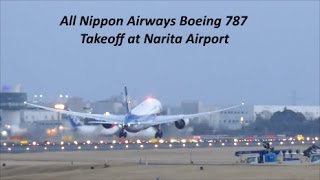 【 全日空 成田空港 ★ 美しい離陸 】 ANA 787 Takeoff at Narita Airport by FZ1000