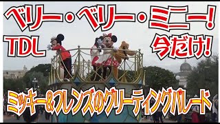 ・ＴＤＬ「ミッキー＆フレンズのグリーティングパレード」期間限定でベリー・ベリー・ミニー！バージョン！（2020年9月27日）（Tokyo Disneyland）