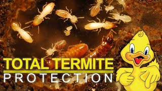 Total Termite Protection - Drake Lawn and Pest Control