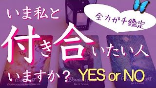 【YES or NO】今私と付き合いたい人いますか？特徴、あなたに惹かれる理由、二人の未来🔮タロット、タロット占い、恋愛