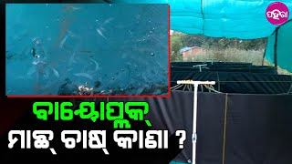 Odisha Livelihood Mission: ଓଡ଼ିଶା ଜୀବିକା ମିଶନ୍ ଆଡୁ ପାଏଲେ ୩ଲାଖ୍ ଟଁକା ଆର ମାଛ୍ ଚାଷ୍ କରିଛନ୍