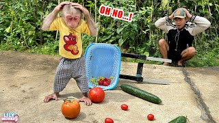 Lily obediently helps dad harvest cucumbers in the garden